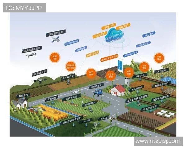 上海篮球队盯防战术的创新与发展探索之路 上海篮球队盯防战术的创新与发展探索之路
