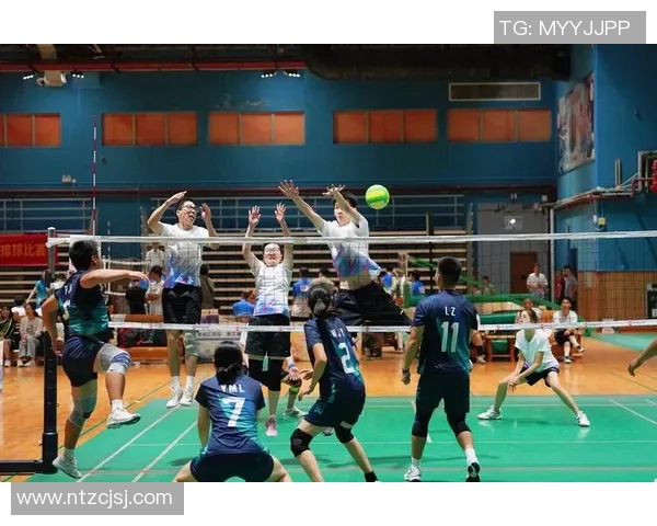 广州排球队在精英赛中的战术意识与团队协作表现分析 广州排球队在精英赛中的战术意识与团队协作表现分析