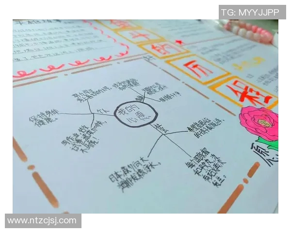 攀岩人生的高峰与低谷陈秀英的奋斗与坚持之路 攀岩人生的高峰与低谷陈秀英的奋斗与坚持之路