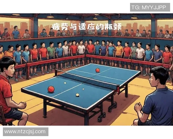 乒乓球专题：深入探讨北京乒乓球队的训练节奏与发展战略